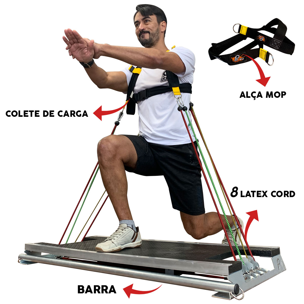 FitBase 16 FitBase 16