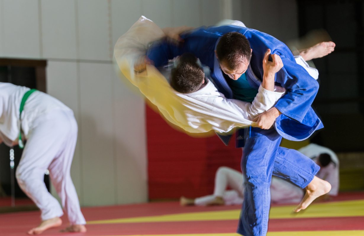 A lógica interna das lutas corporais: implicações iniciais para o  ensino-aprendizagem-treinamento do brazilian jiu-jítsu