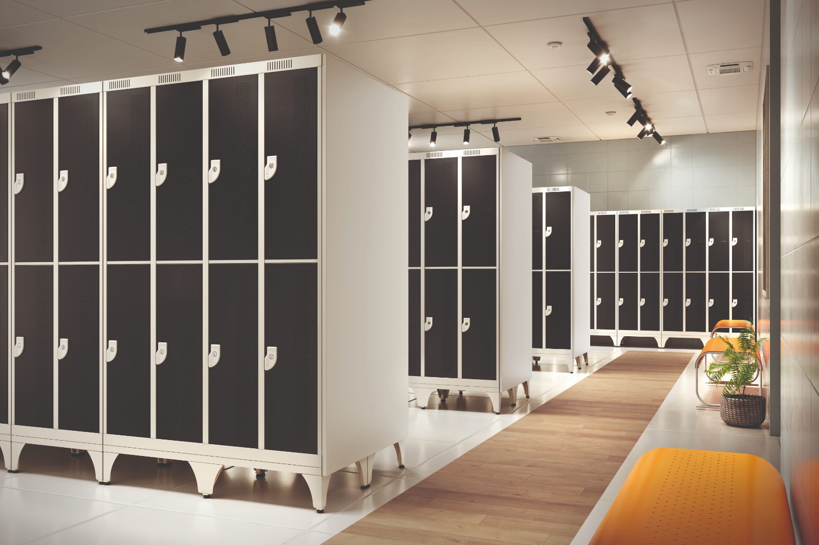 WhatsApp Image 2026 02 16 at 13.42.47